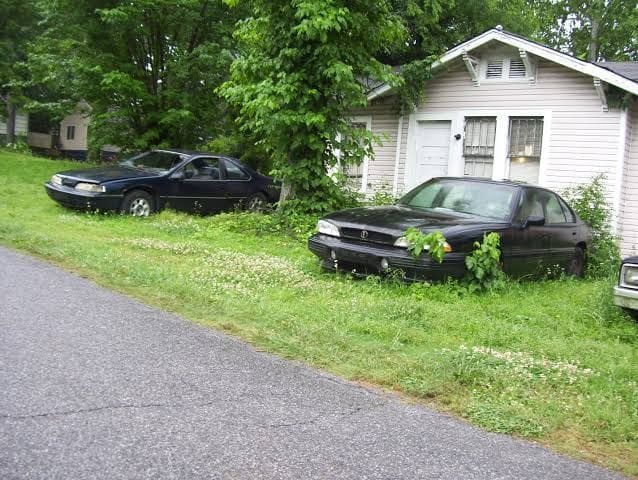 Two black junk cars sitting on an overgrown front lawn beside a small white house, with vines growing over one of them